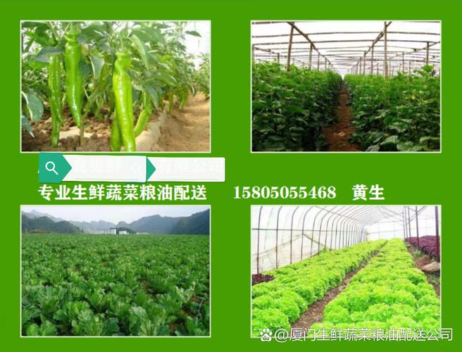 配送的客户主要有大小工厂,机关单位,养老院,医院,学校,部队,建筑工程